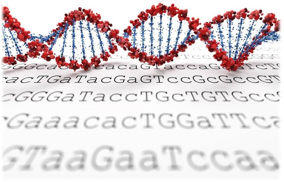 راستا جدید کسب وکارهای نوپا در حوزه توالی یابی ژنتیکی