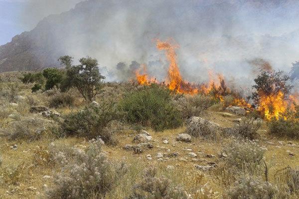 آتش سوزی سربیژن جیرفت مهار شد، 6 هکتار از اراضی این منطقه آتش سوزی سربیژن جیرفت مهار شد، 6 هکتار از اراضی این منطقه در آتش سوخت