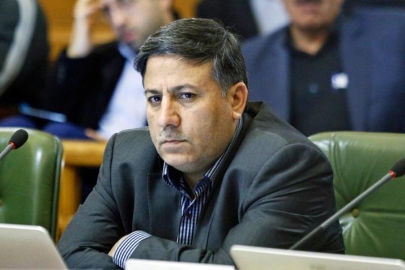 شورای شهر طرحی خاص برای سگ های ولگرد ندارد ، شهرداری مسئول سگ ها است