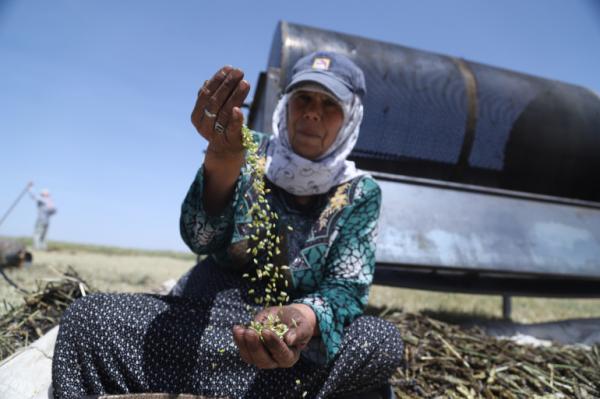 جنگ سوریه و تغییر ارزش های سنتی، زنان نان آور می شوند