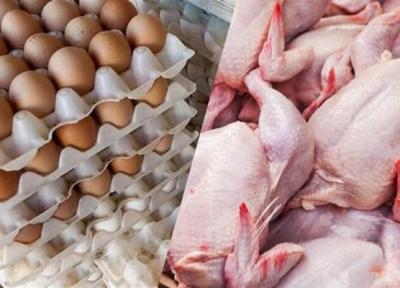 مرغ و تخم مرغ مقرون به صرفه شد؟ ، آخرین قیمت مرغ و تخم مرغ در بازار